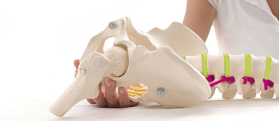 Osteopata Poznań